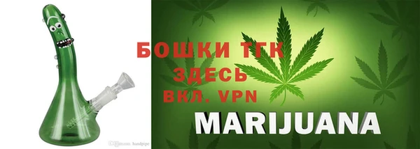 молекула духа Алексин