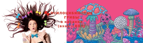 spice Алзамай