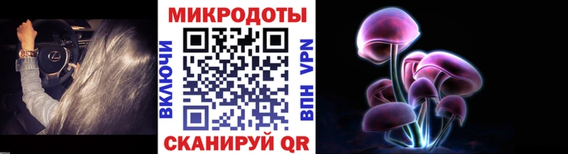 продажа наркотиков  Краснообск  Галлюциногенные грибы Cubensis 